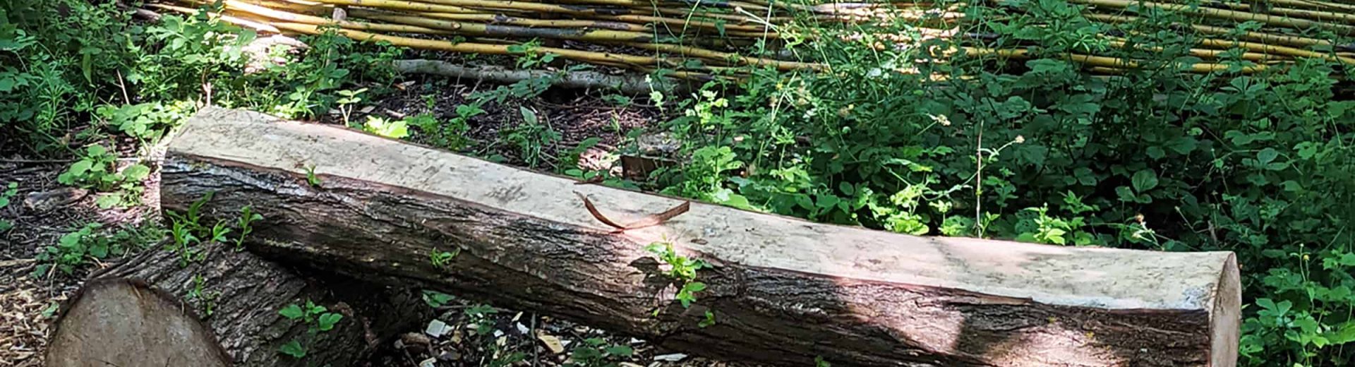 Log bench in the Polehanger River Woodland